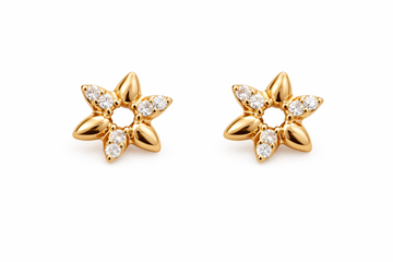 Star Earrings